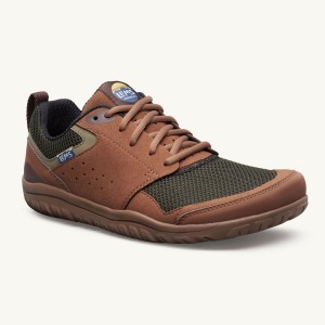 Zapatillas Lems Primal Zen Mujer Marrones | WALYUNM