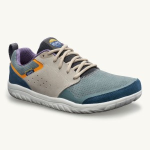 Zapatillas Lems Primal Zen Suede Hombre Multicolor | CRPXAEG