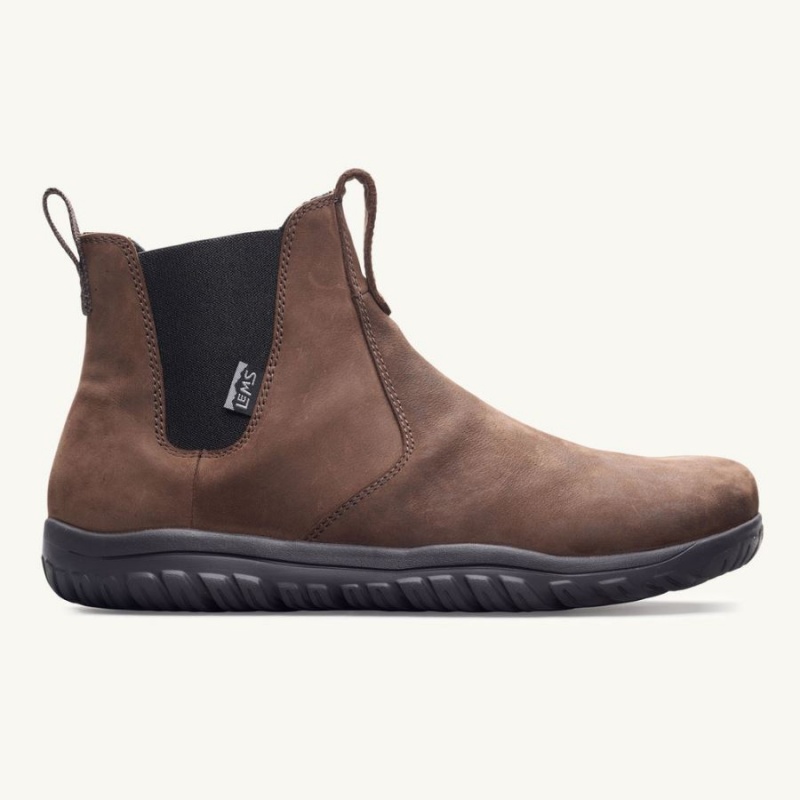 Botas Lems Chelsea Boot Waterproof Hombre Marrones | LQPEOSU