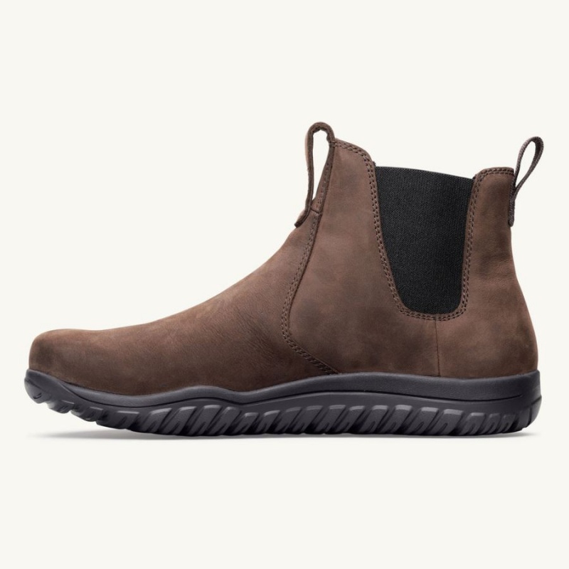 Botas Lems Chelsea Boot Waterproof Hombre Marrones | LQPEOSU