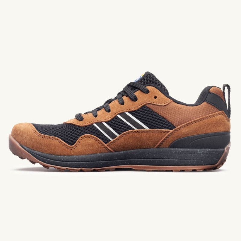 Zapatillas Lems Primal Pursuit Hombre Marrones | NOHETKL