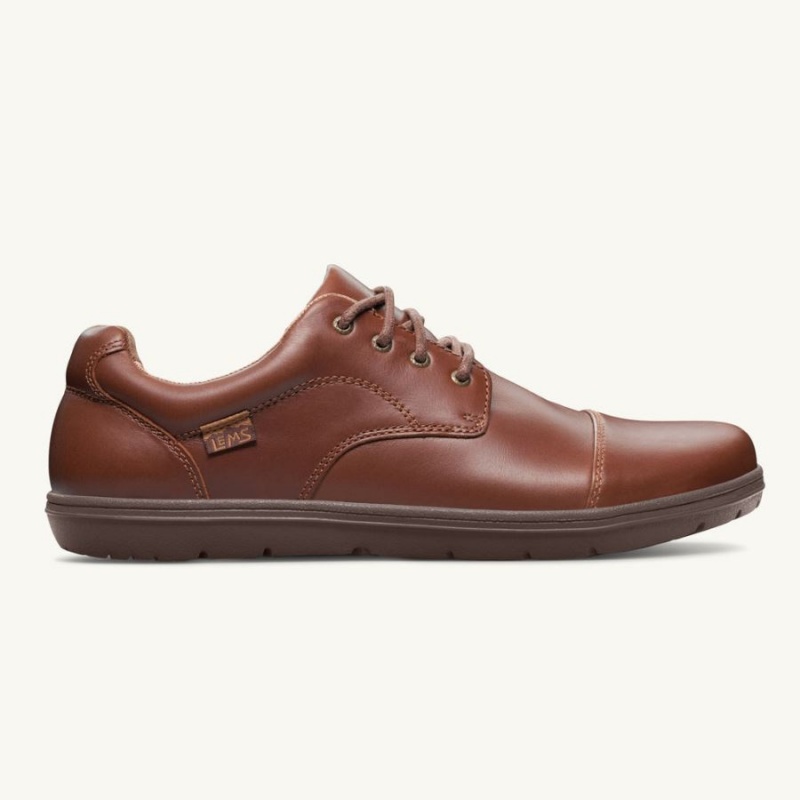 Zapatos Lems Nine2Five Hombre Marrones | XPEGSTJ