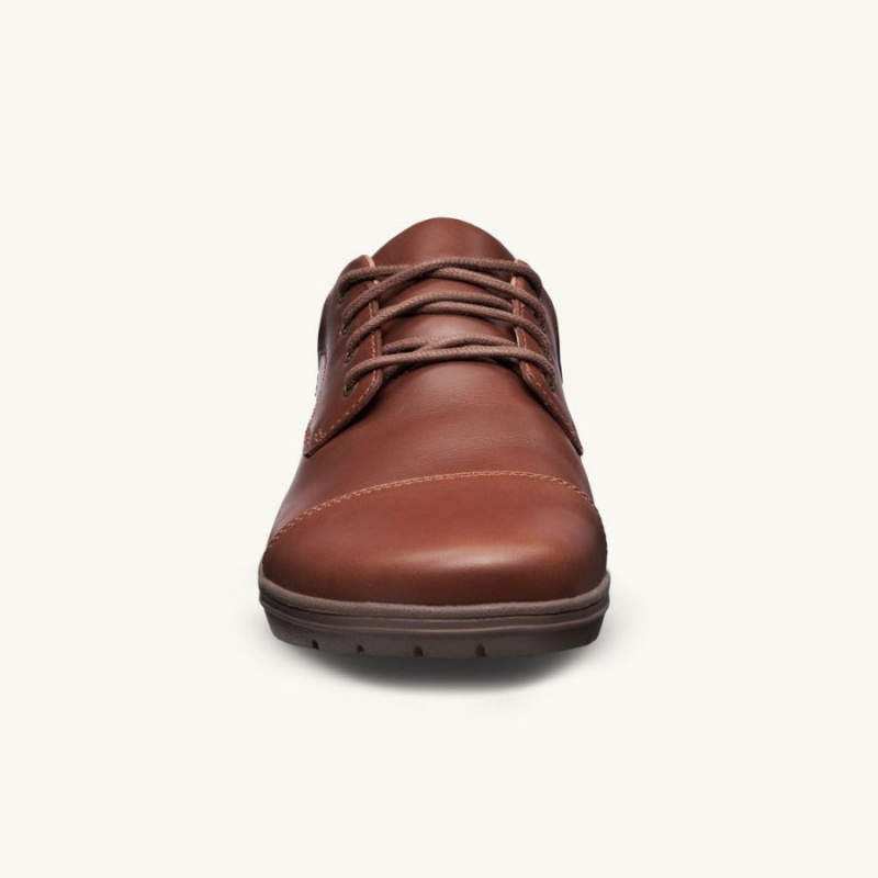 Zapatos Lems Nine2Five Hombre Marrones | XPEGSTJ